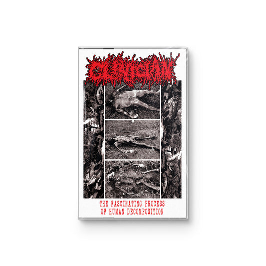 Clinician "The Fascinating Process Of Human Decomposition" CASSETTE