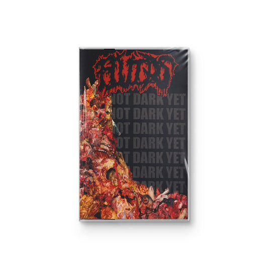 Fluids "Not Dark Yet" CASSETTE