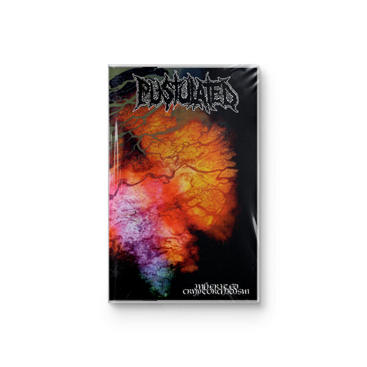 Pustulated "Inherited Cryptorchidism" CASSETTE
